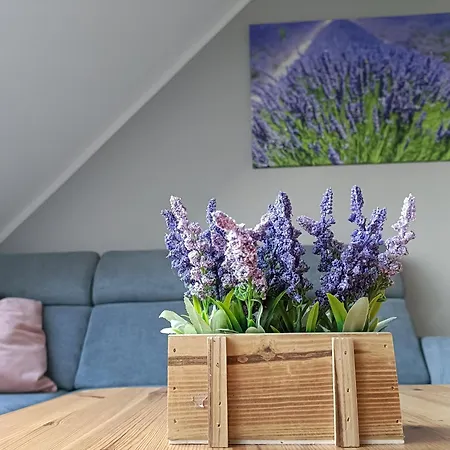 Apartament Morska Lawenda Svinoústí Exteriér fotografie